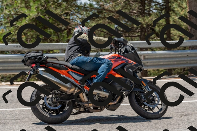 202508091307-DSC_2933_c4_