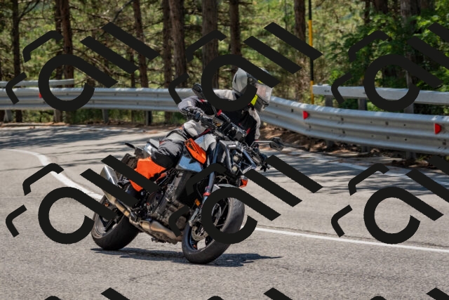 202508091307-DSC_2934_c4_