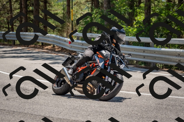 202508091308-DSC_2940_c4_