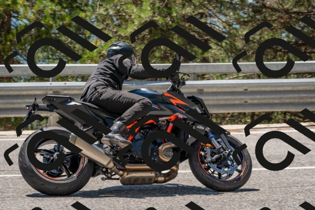 202508091308-DSC_2942_c4_