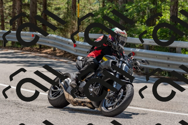 202508091308-DSC_2944_c4_