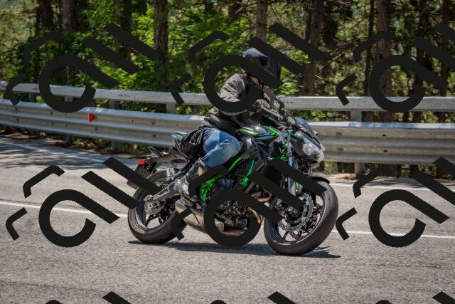 202508091309-DSC_2949_c4_