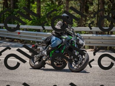 202508091309-DSC_2949_c4_