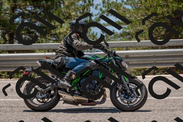 202508091309-DSC_2950_c4_