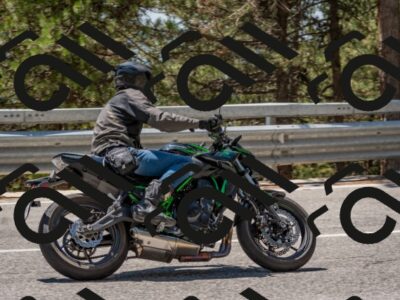 202508091309-DSC_2951_c4_