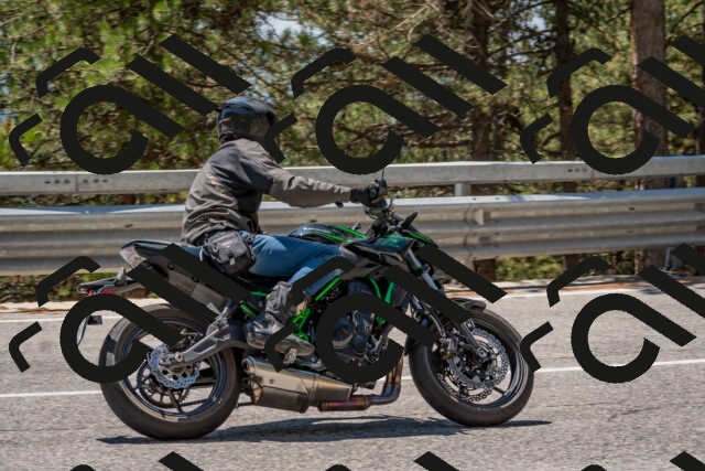 202508091309-DSC_2951_c4_