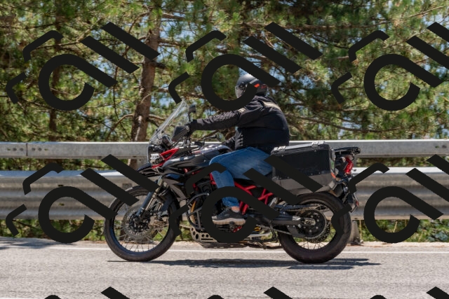 202508091309-DSC_2954_c4_