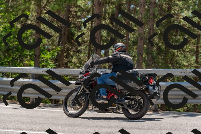 202508091309-DSC_2955_c4_