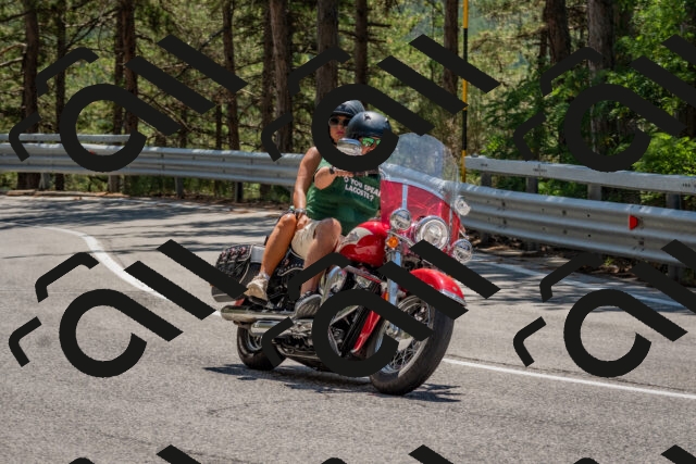 202508091309-DSC_2956_c4_