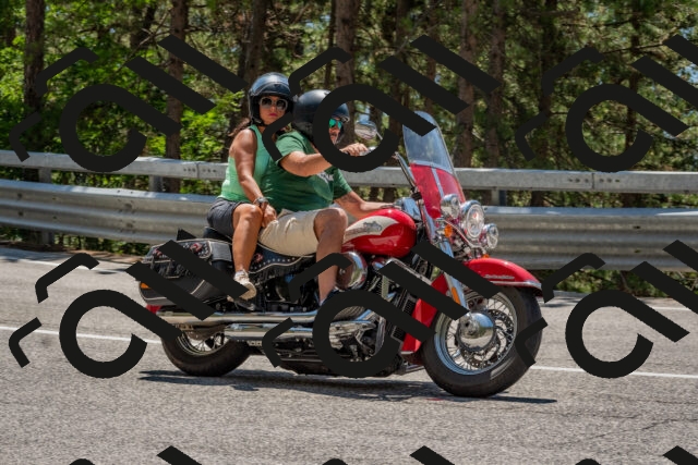 202508091309-DSC_2957_c4_