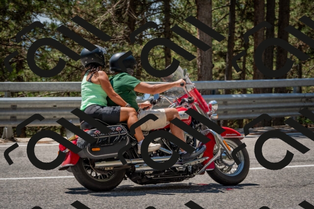 202508091309-DSC_2959_c4_