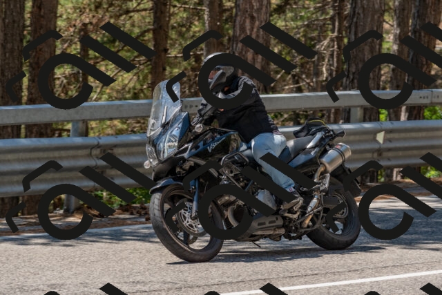 202508091310-DSC_2967_c4_