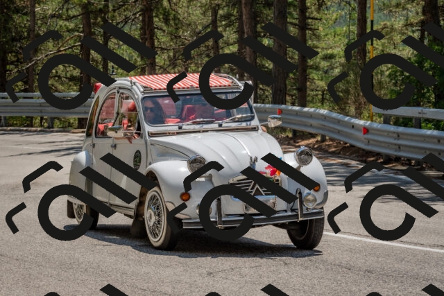 202508091311-DSC_2970_c4_