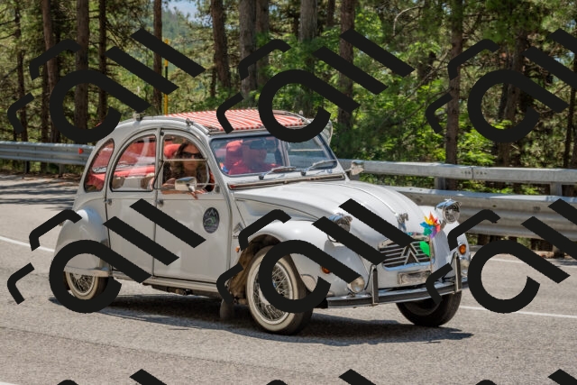 202508091311-DSC_2971_c4_