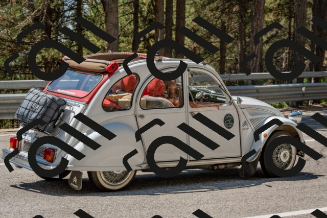 202508091311-DSC_2972_c4_