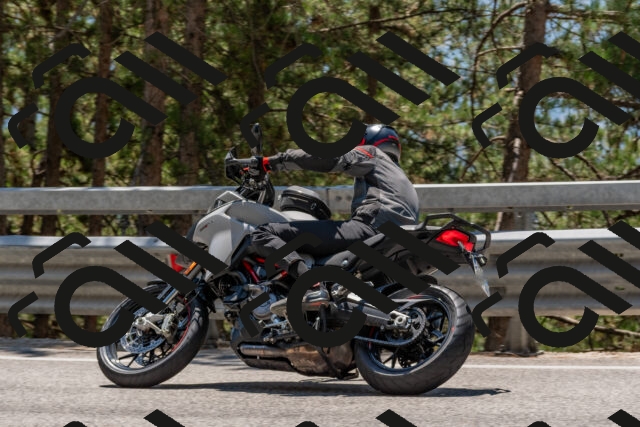 202508091311-DSC_2976_c4_