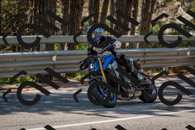 202508091312-DSC_2977_c4_