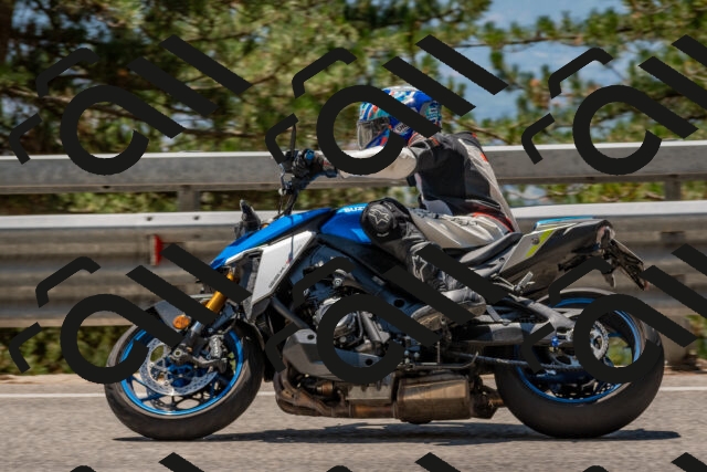 202508091312-DSC_2979_c4_