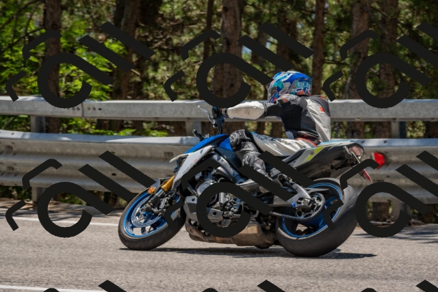 202508091312-DSC_2980_c4_