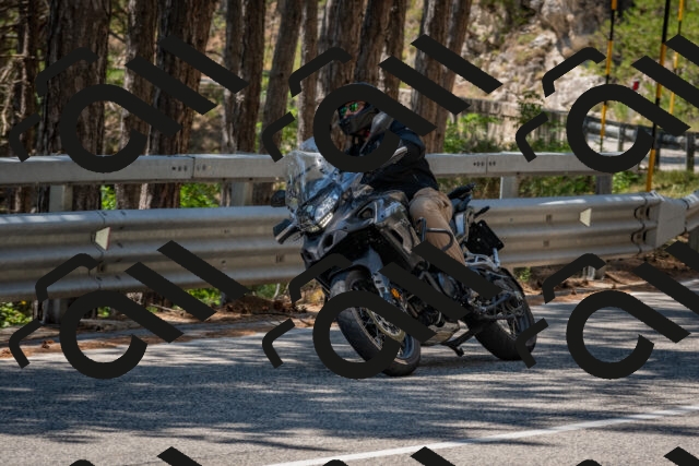 202508091312-DSC_2981_c4_