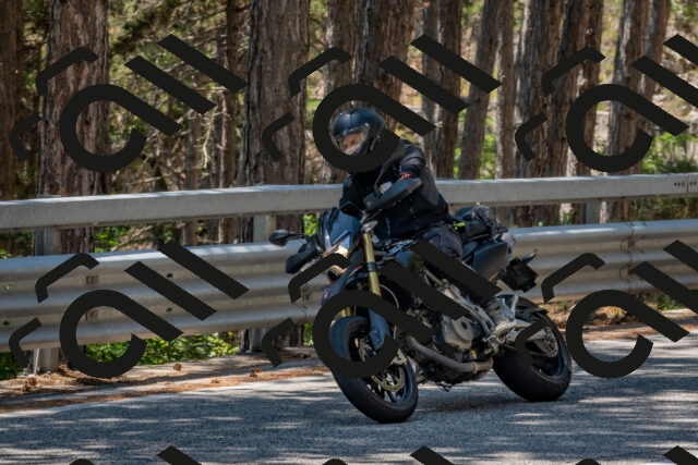 202508091312-DSC_2992_c4_