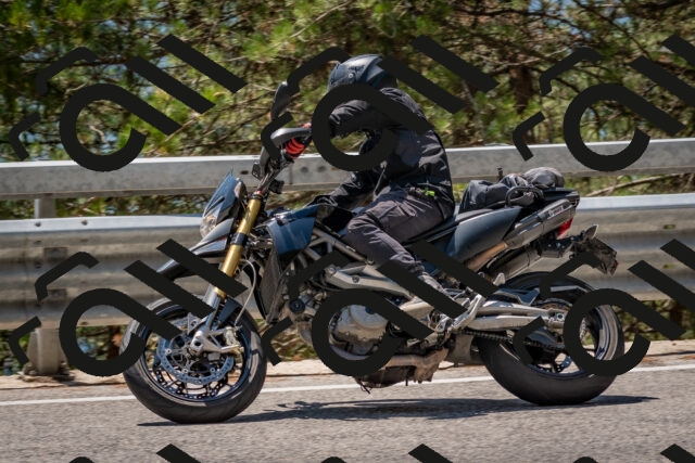 202508091312-DSC_2994_c4_