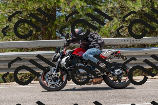 202508091312-DSC_2996_c4_