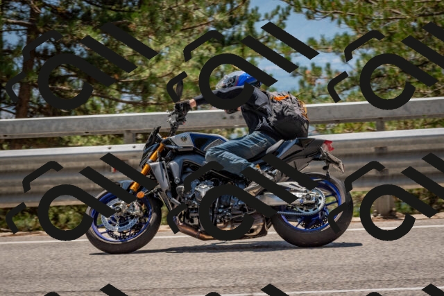 202508091312-DSC_2998_c4_