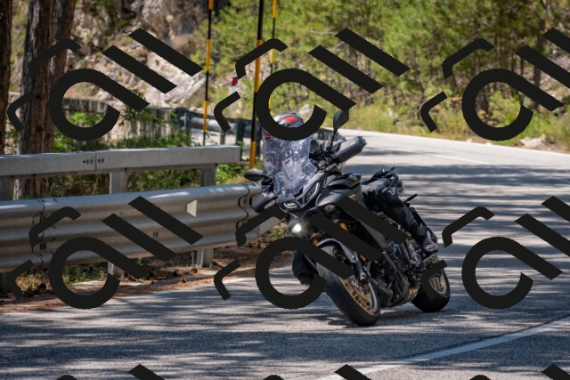 202508091312-DSC_3000_c4_