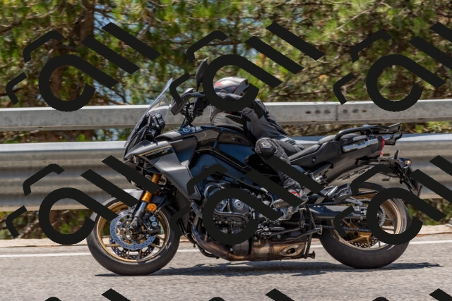 202508091312-DSC_3002_c4_