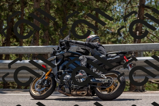 202508091312-DSC_3003_c4_