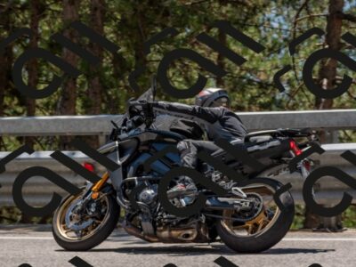 202508091312-DSC_3003_c4_