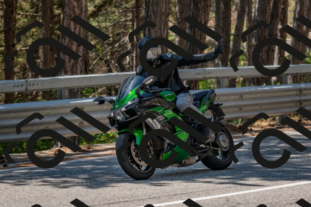 202508091313-DSC_3004_c4_