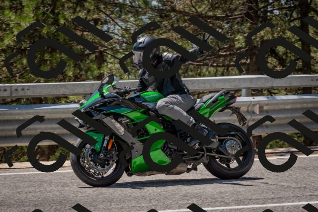 202508091313-DSC_3006_c4_