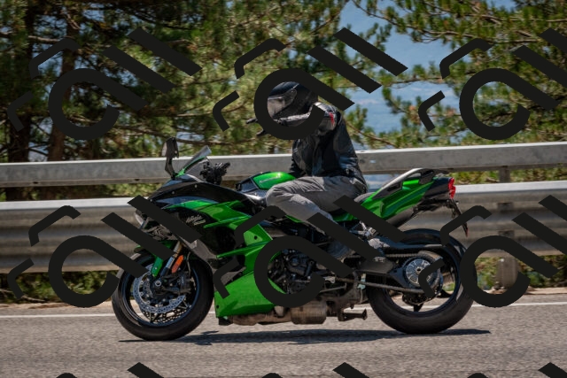 202508091313-DSC_3007_c4_