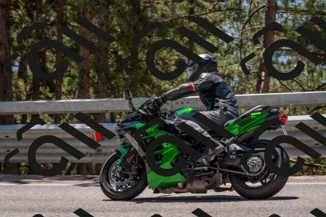 202508091313-DSC_3008_c4_