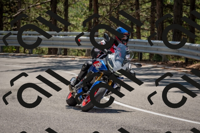 202508091315-DSC_3009_c4_