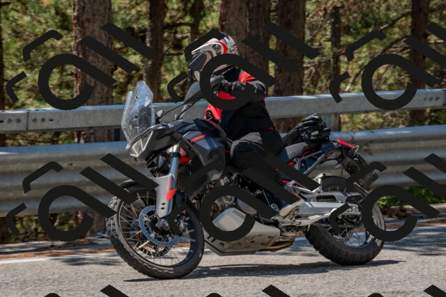 202508091316-DSC_3013_c4_