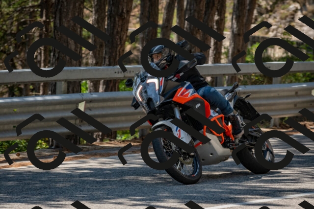 202508091317-DSC_3016_c4_