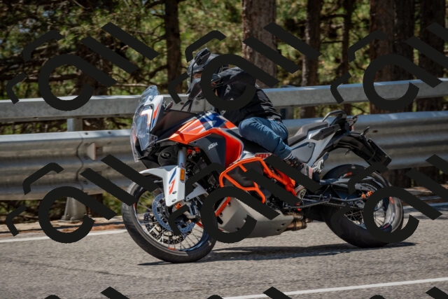 202508091317-DSC_3017_c4_