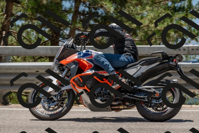 202508091317-DSC_3018_c4_