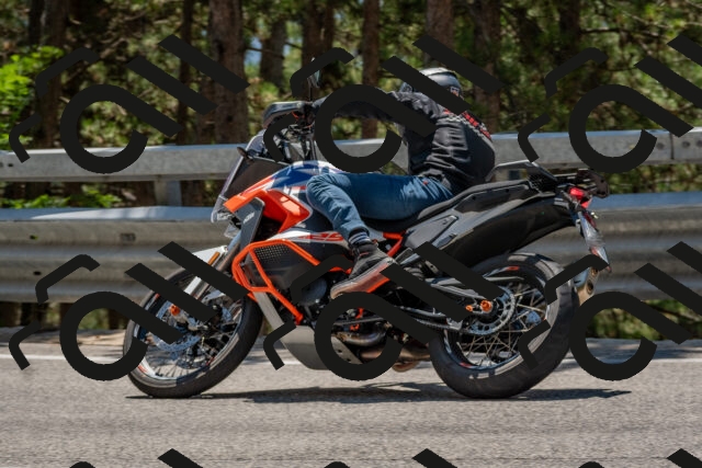 202508091317-DSC_3019_c4_