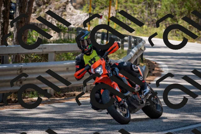 202508091317-DSC_3020_c4_