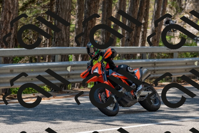 202508091317-DSC_3021_c4_