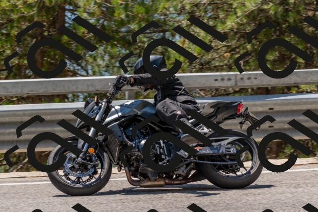 202508091317-DSC_3026_c4_