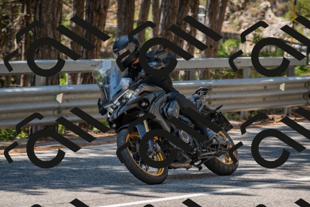 202508091317-DSC_3028_c4_