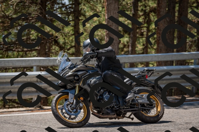 202508091317-DSC_3029_c4_