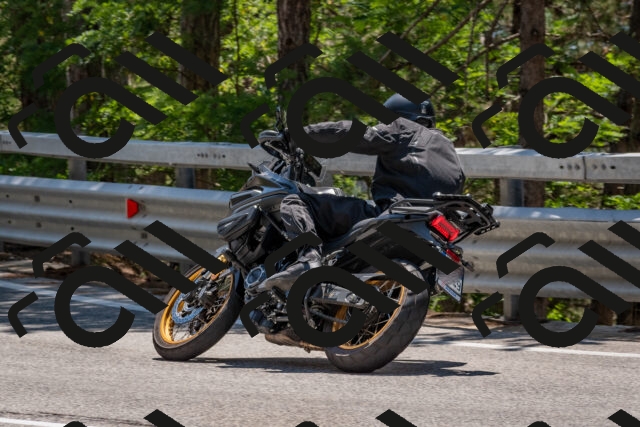 202508091317-DSC_3031_c4_