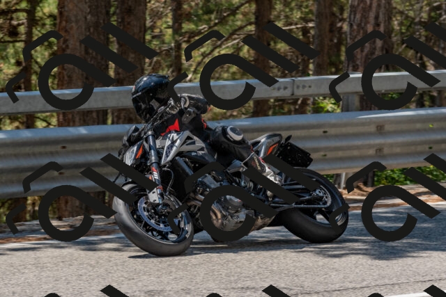 202508091317-DSC_3033_c4_