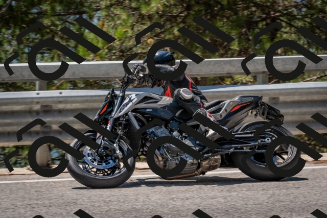 202508091317-DSC_3034_c4_